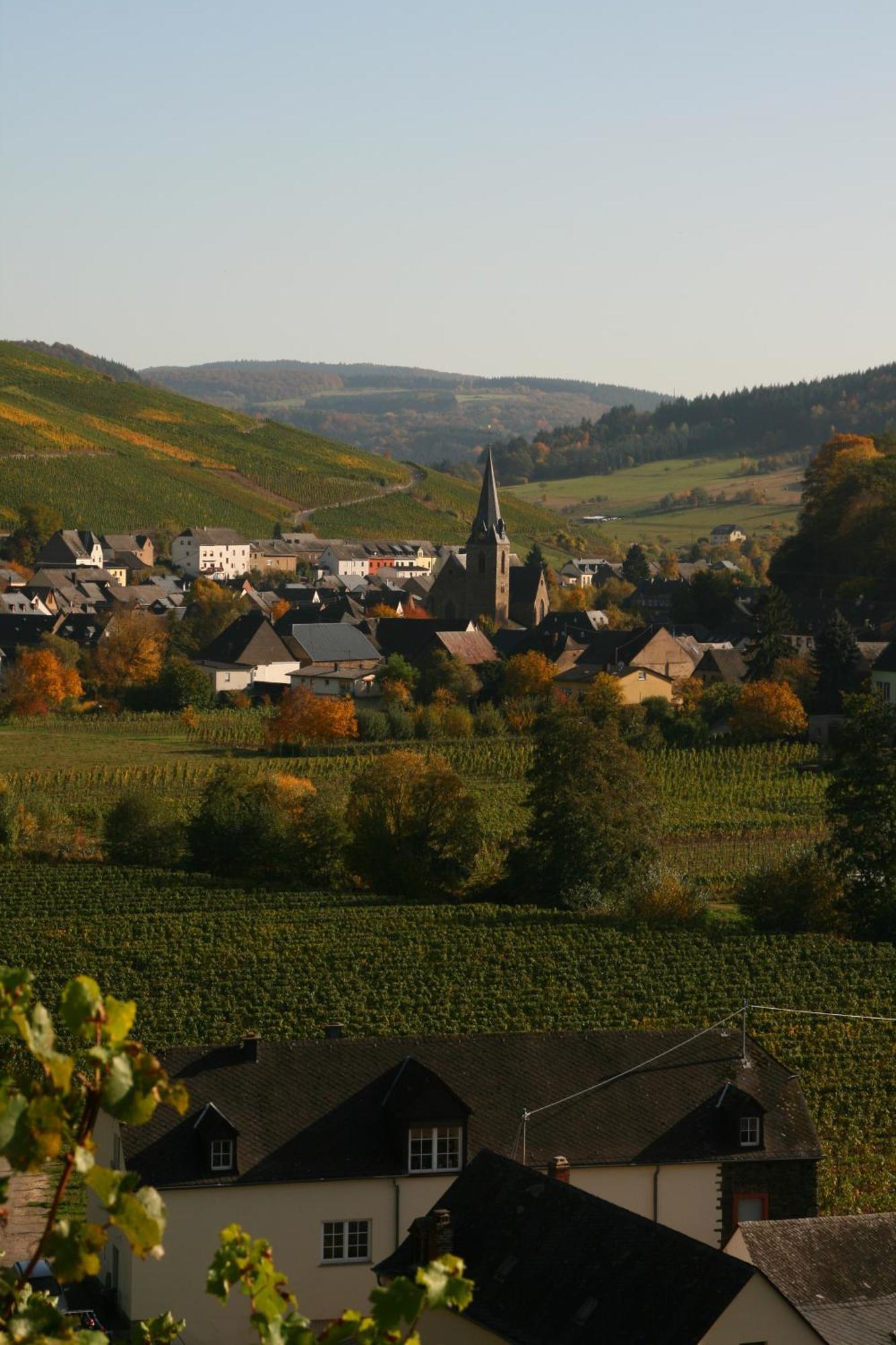 Weingut & Gaestehaus Stephan Kohl Neumagen-Dhron Ngoại thất bức ảnh